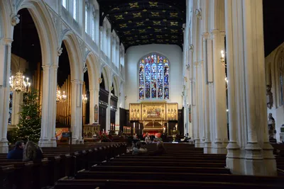 DSC_5615 (Large).JPG